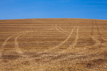 Harvested Agriculture Fields