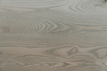 Obraz premium Wooden light texture of a natural tree. A hardwood surface. Organic background in a beige palette.