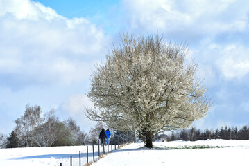 Winterlandschaft 2