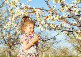 Cute children girl  with dress walking on a meadow with   blooming cherry tree .Spring time 