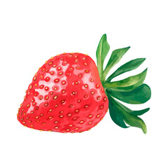 Watercolor strawberry. Vector fruit illustration for a cookbook, ingredients of recipes, advertising, cards for children and botanical magazines. Natural and organic agricultural product