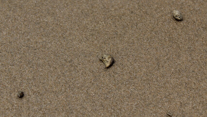 footprints on the sand