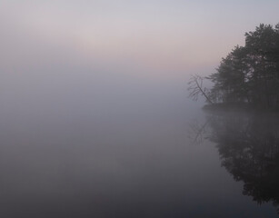 Bare trunk of a tree by the lake in the fog, dark dawn. Gloomy autumn landscape