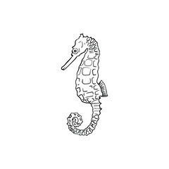 Fototapeta premium Single vector element isolated on white background. Seahorse