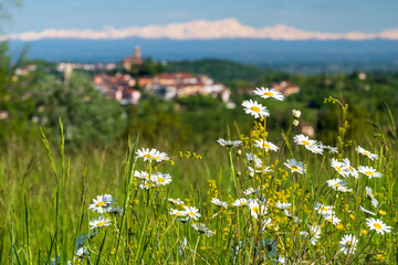 view of Trisobbio, Piedmont, Italy