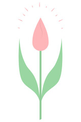 Tulip. Closed bud. The delicate pink flower is shining. Color vector illustration. A cute plant with green leaves. Flat style. Isolated background. Bright Easter. An idea for web design, invitations