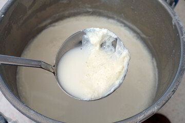 Natural cow's milk with plenty of fat, boiled to ferment yogurt,