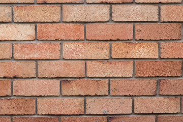 Obraz premium wall of red baked bricks, even masonry