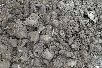 aeration-digging of the soil for planting the garden area with a digging shovel,