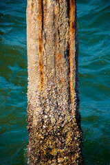 Columns that had been exposed to seawater eroded and rusted steel.
