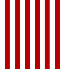 Fototapeta premium Straight Line pattern