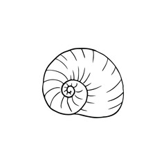 Single vector element isolated on white background. Seashell
