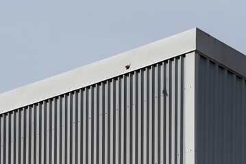 Fototapeta premium Bird diving off industrial building rooftop