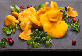 Assorted edible mushrooms on an old dark background. Vegetarian healthy product. Healthy lifestyle. - 498513686