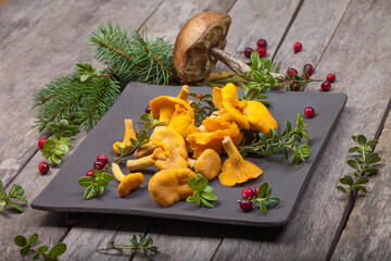 Assorted edible mushrooms on an old dark background. Vegetarian healthy product. Healthy lifestyle. - 498513687
