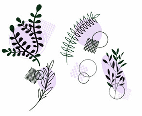 Leaf pattern on a white background