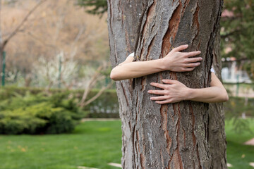 Arms hugging tree trunk. Love for nature and discharging static electricity