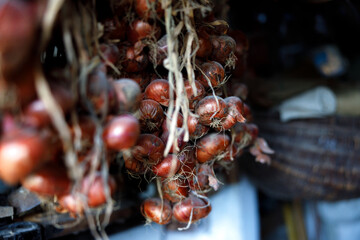Homegrown red onions stock for winter