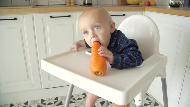 Cute baby eating carrot in a white kitchen. Healthy nutrition for kids. Bio carrot as first solid food for infant. Little boy biting raw vegetable.