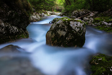Wilderness of Slovenian Wild Water Streams