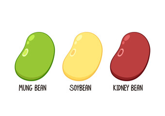 Mung bean, Kidney bean and Soybean on white background. Bean logo design.