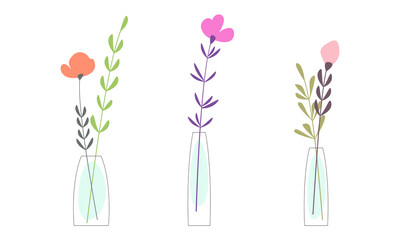 Vector set of flowers, branches, leaves in transparent contour vases with water shapes. Flat vector illustration isolated on white. Floral decor, ornament, design element for print, pattern or card.