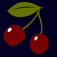 Two ripe cherries on a branch with a green leaf