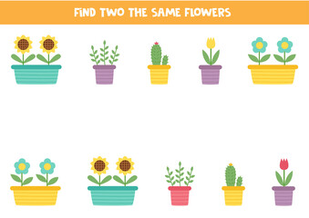 Find two cute identical flowers in pot. Educational game for preschool children.