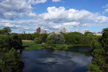 Fototapeta na wymiar New York Central Park