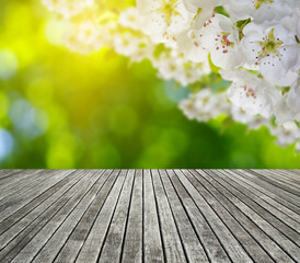 wooden spring blossom