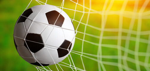 Soccer ball in goal on grass