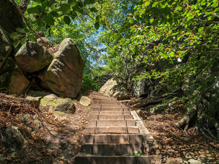 Brandstufen in der Sächsischen Schweiz - Durch den Wald zum Brand