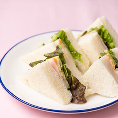 健康的サンドイッチ2