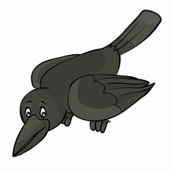 black crow looks down with interest, cartoon illustration, isolated object on a white background, vector,