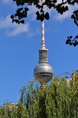 Berliner Fernsehturm im Grünen vor blauem Himmel