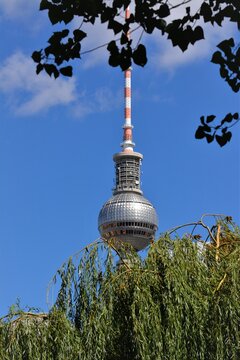 Berliner Fernsehturm im Gr&uuml;nen vor blauem Himmel