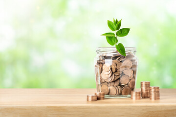 Money coins in glass jar and green plant. Savings, banking, investment, retirement funds or...