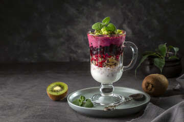 Yogurt smoothie with granola, blackcurrant and kiwi pieces. Delicious and healthy breakfast. Copy space