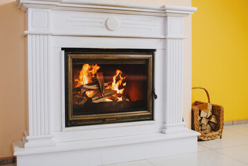 Beautifully decorated fireplace with fire in it in the living room