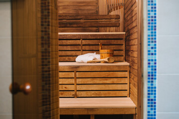 Bucket of water and bathrobe on a bench in the sauna - 498530447