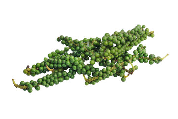 Fresh black pepper isolated on white background, this image with clipping path.