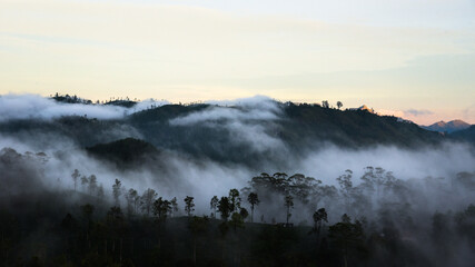 mist in the mountains