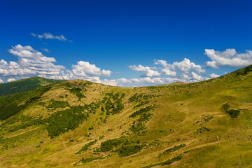 Fototapeta na wymiar Top of the mountain range, Carpathians, Ukraine. summer day