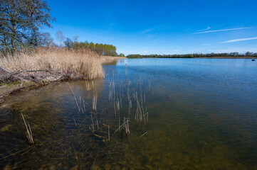 Paysage des étangs de La Dombes dans le département de l'Ain en France au printemps