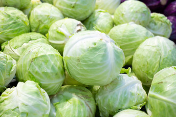 Fototapeta na wymiar heads ripe cabbage texture background