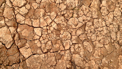 Desert drought