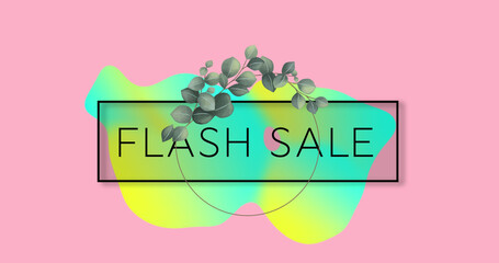 Fototapeta na wymiar Image of flash sale text in frame over glowing blob and plant on pink background