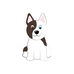 Cute dog , different eyes. 