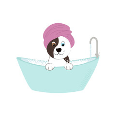 Cute dog in the bathroom, different eyes. Grooming