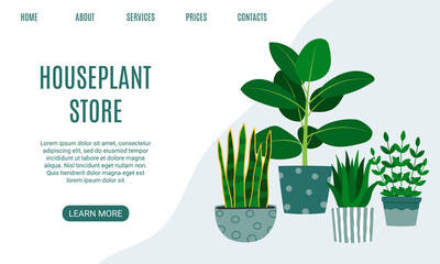 Houseplant store landing page. Rubber plant, aloe and snake plant. Florarium, home garden, greenhouse, gardening, potted plant concept.